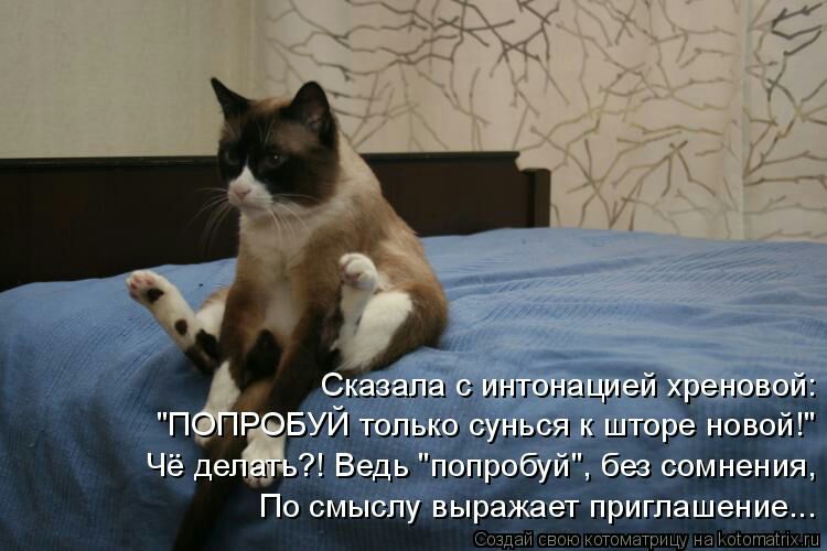 азгшаь Игггонашиэл решв 971 УЦ только сньы с шп рё О