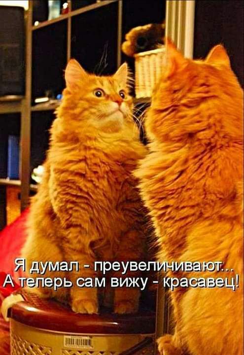 ап преувепин дум п защд ерьсам вижу Кр Ачтл _