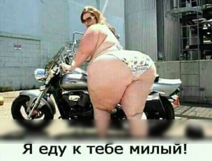 Я еду к тебе милы