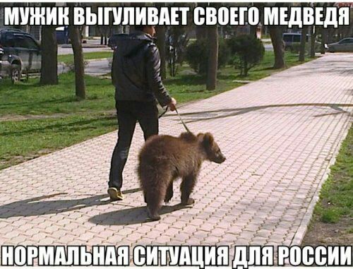 МУЖИК ВЬЕПШИВАЕТ ВВОЕШ МЕДВЕДЯ ШойЁЁй