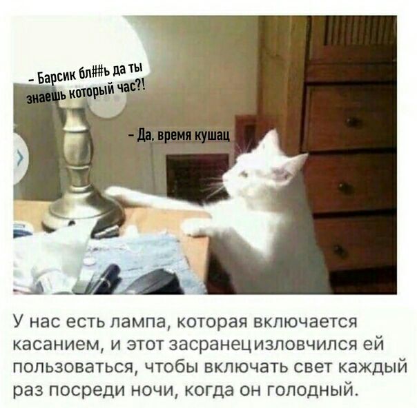 У нас есть лампа которая включается касанием и этот засранецизловчился ей пользоваться чтобы включать свет каждый раз посреди ночи когда он голодный