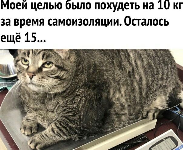 оеи целью ыло похудеть на за время самоизоляции Осталось