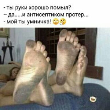 ты руки хорошо помыл _ да и антисептиком протер мой ты умничка
