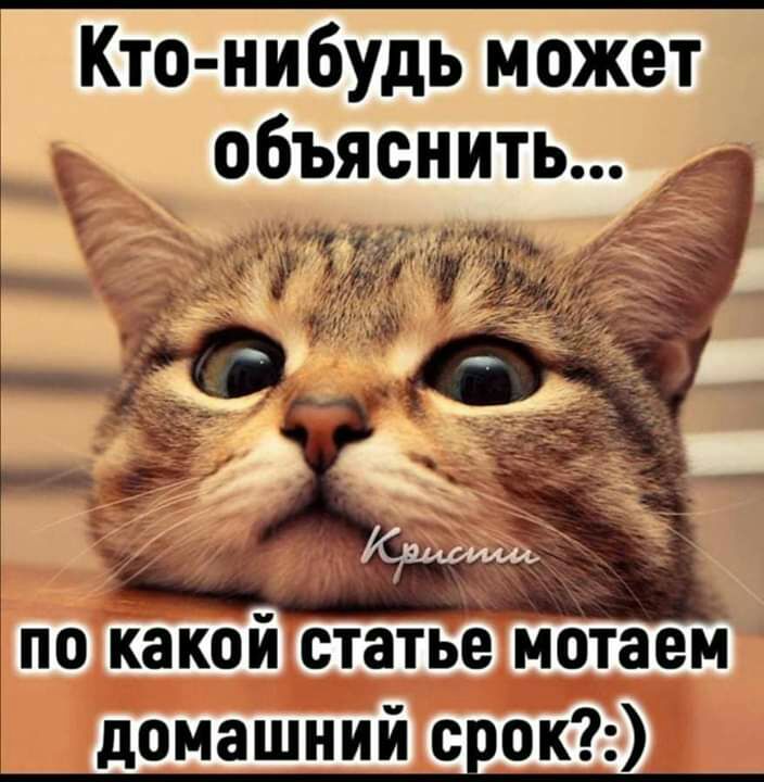 Кто нибудь может объяснить р пддчт И И ч по какои статье мотаем домашний с ок
