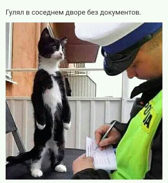 Гупяп в соседнем дворе без документов