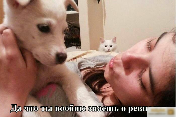 Да что ты вообще зншедДЬ о рев