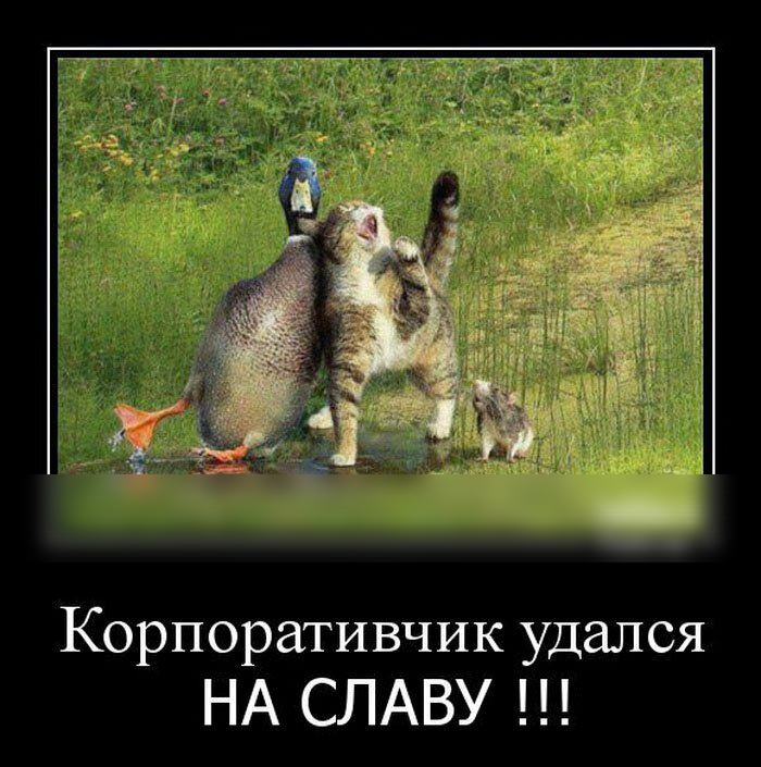 Корпоративчик удался НА СЛАВУ