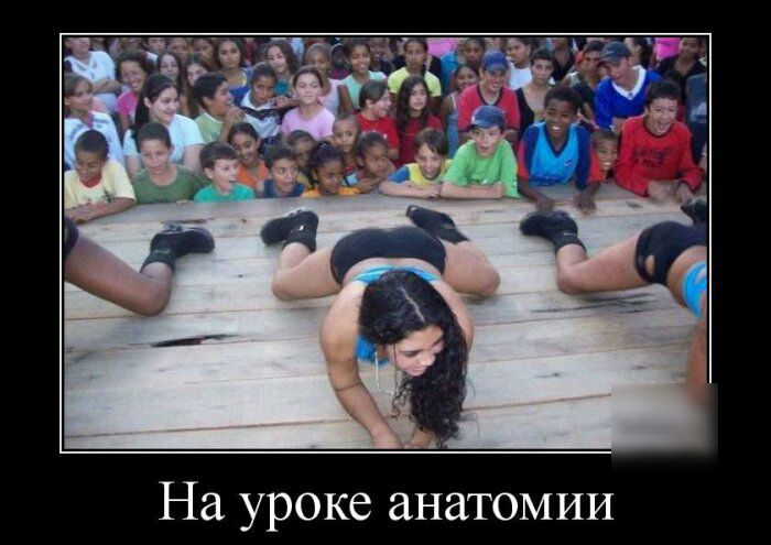 На уроке анатомии