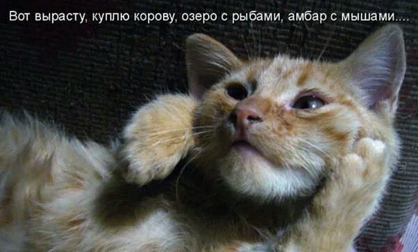 Вот вырасту куплю корову озеро рыбами амбар мышами
