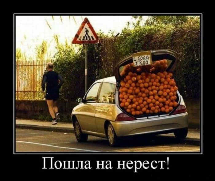 Пошла на нерест