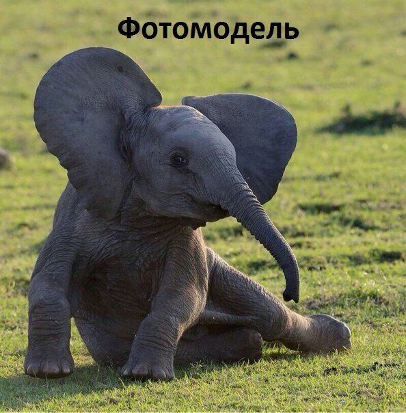 Фбтомодель Ю
