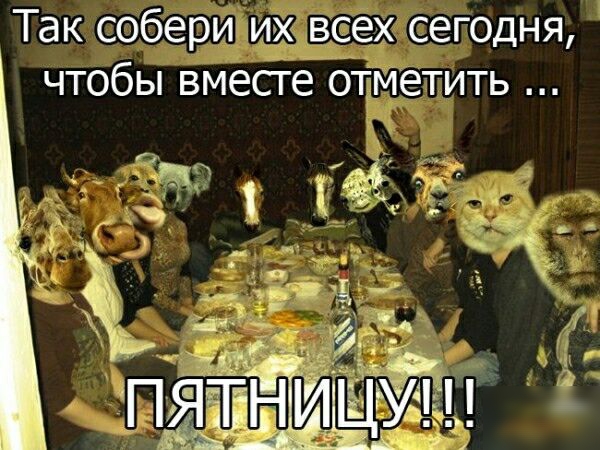 Так собери их всех сегодня чтобы вместе ОТіМетить
