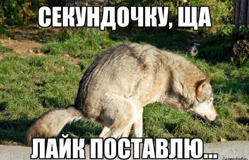 _ с _ _