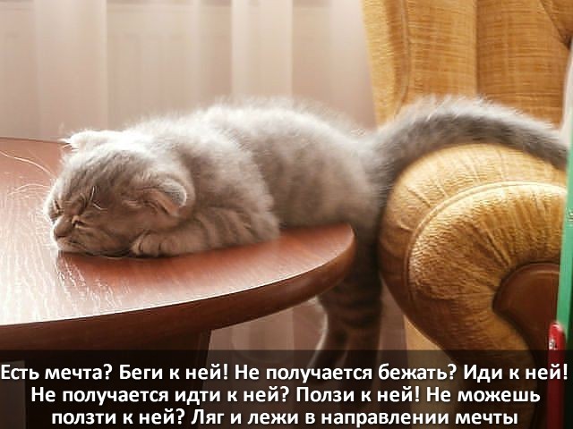 Есть мечта Беги к ней Не получается бежать Иди к ней Не получается идти к ней Ползи к ней Не можешь ползти к ней Пяг и лежи в направлении мечты