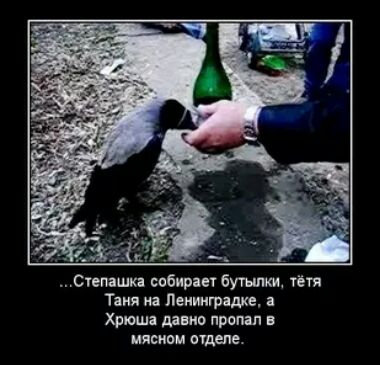 _ _ Степашкд собирает бутики тётя Таня иа Леимгрядке п Хрюша мыш пропил мясном ищем