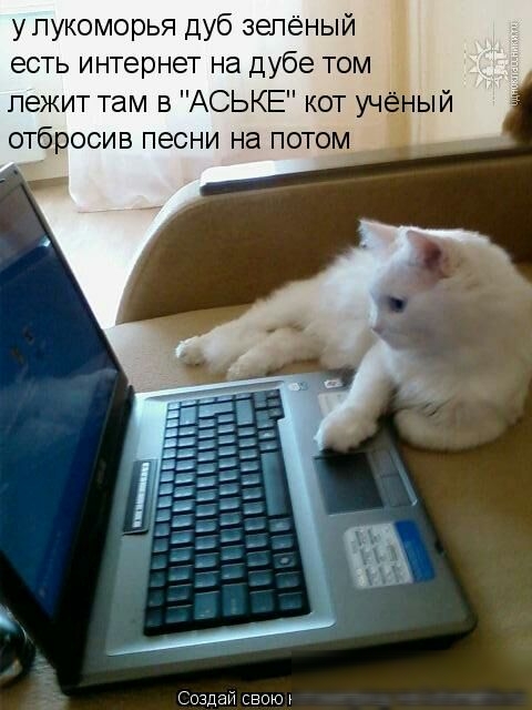 упукоморья дуб зеленый есть интернет на дубе том пежит там в АСЬКЕ кот учёный отбросив песни на потом Создай СВОЮ