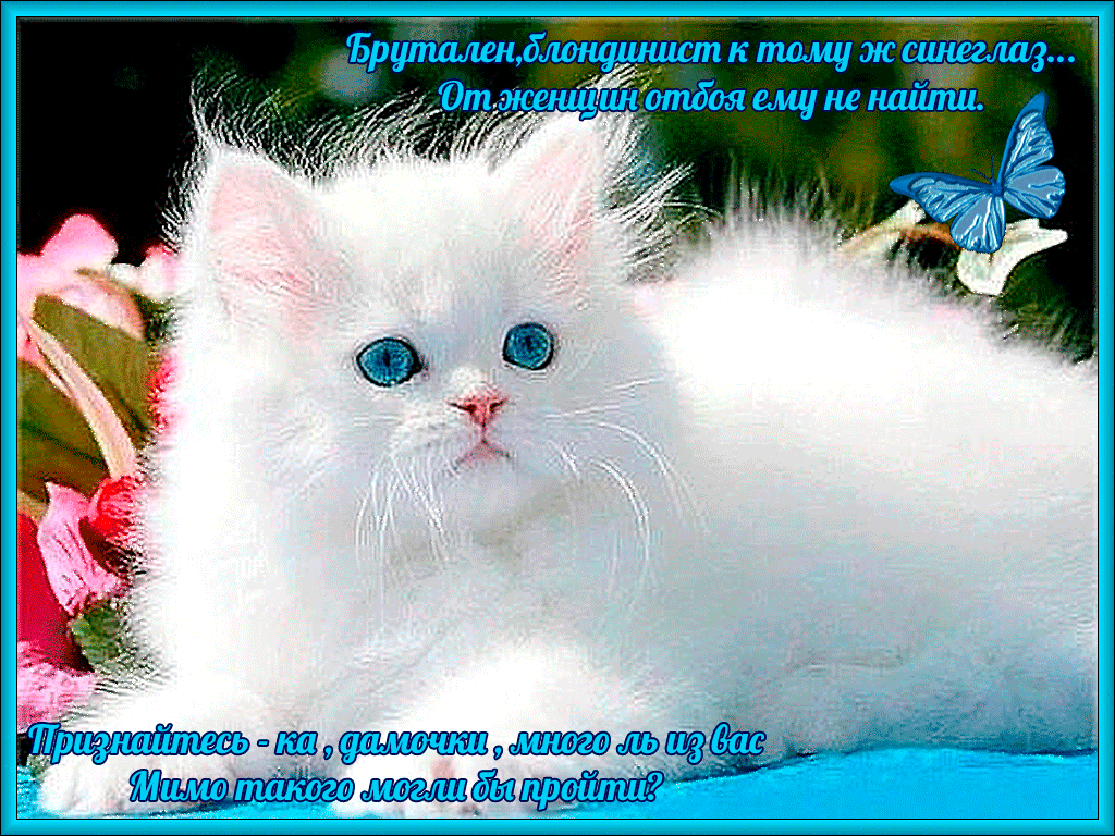 Ърбкпщжсшшщ отбоящненпйлш Щрд Дж _ ду