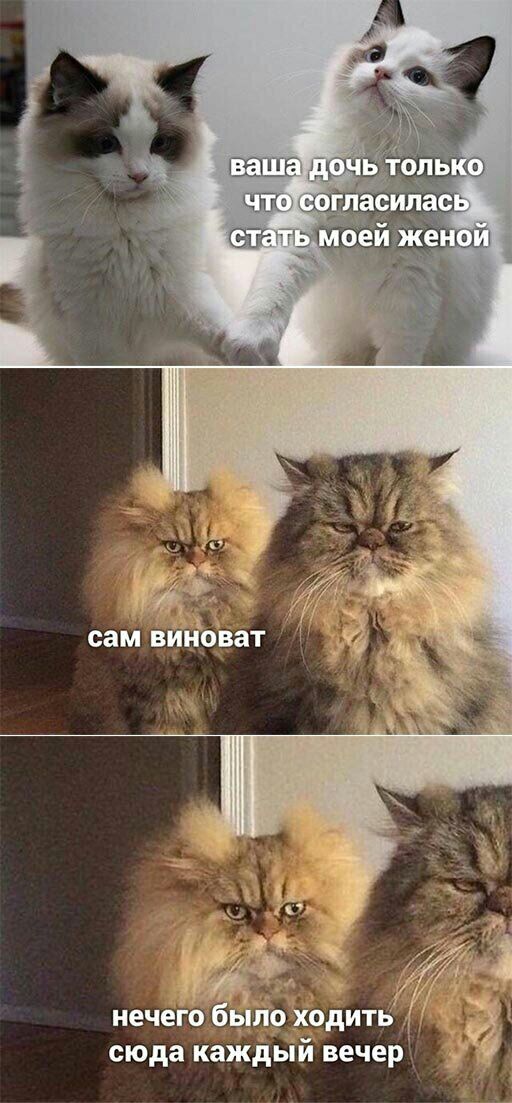 627 нечего было ходить