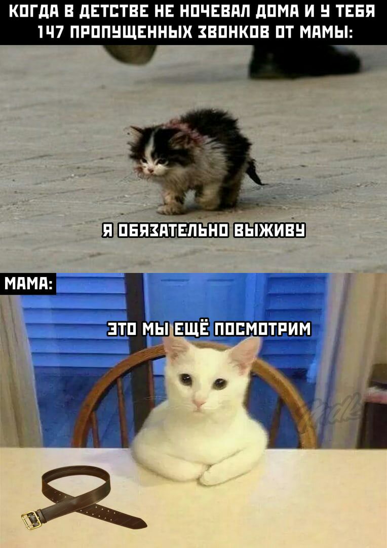 КПГДП В дЕТЕТВЕ НЕ НПЧЕВПЛ дПМд И ТЕБЯ 1Ч7 ПРППНЩЕННЫХ ЗВПНКПВ ПТ МПМЫ Ш ПЕЯЕПТЕПЬНП ВЫЖИВН ЕЩЁ пппмптпим