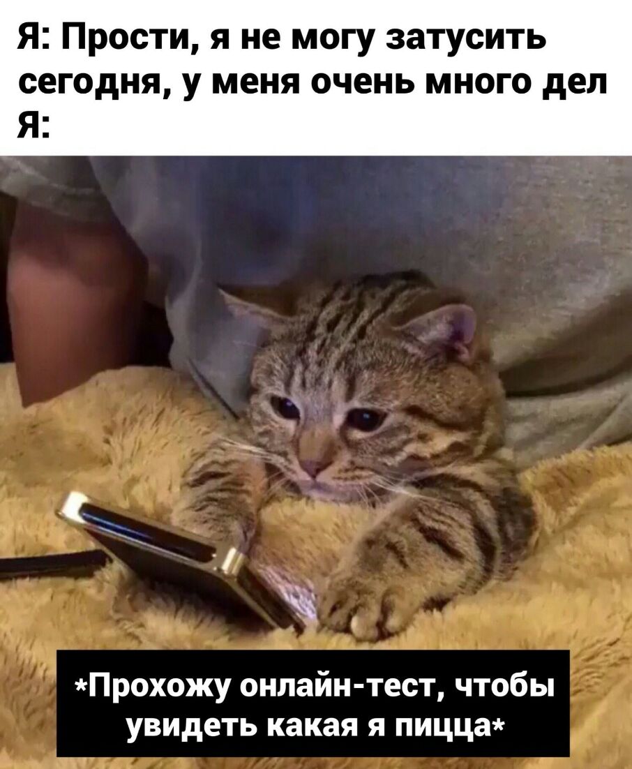 Я Прости я не могу затусить сегодня у меня очень много дел Я 19 Прохожу онлайн тест чтобы е_ увидеть какая я пицца 151 1 т
