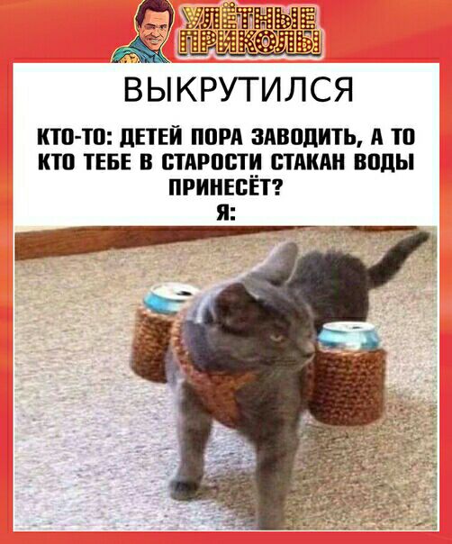 э Оксана сев за руль узнала много нового Например что у овцы глаза на жопе и что в дурдоме сегодня выходной