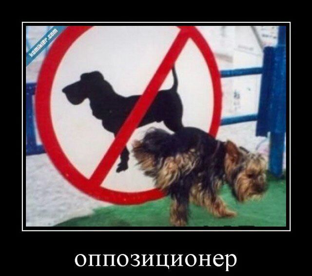 ОППОЗИЦИОНЗр