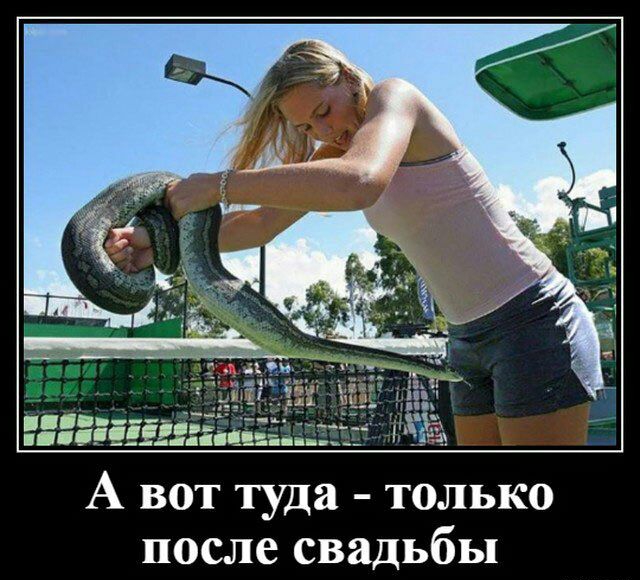 А вот туда только после свадьбы