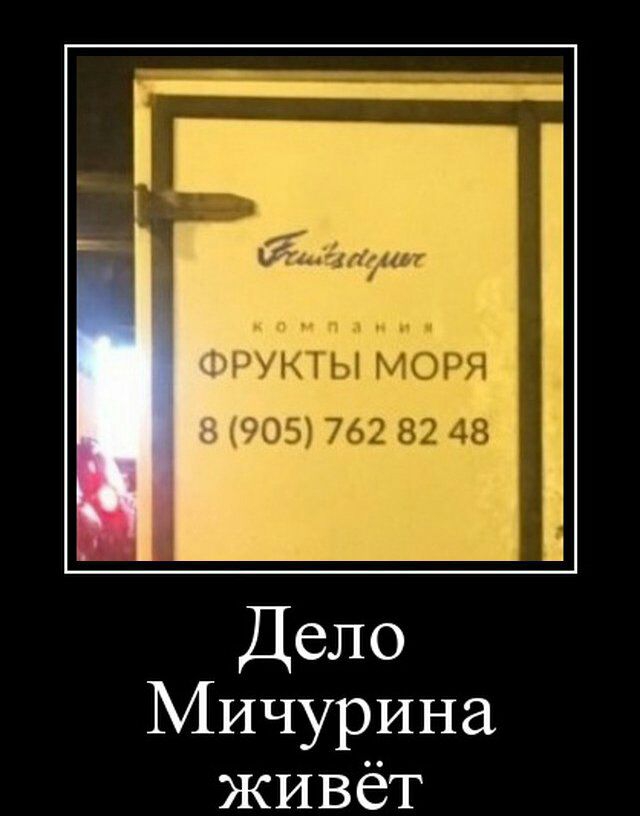 1__ЧЧ МЁЪ 762 82 48 Дело Мичурина живёт