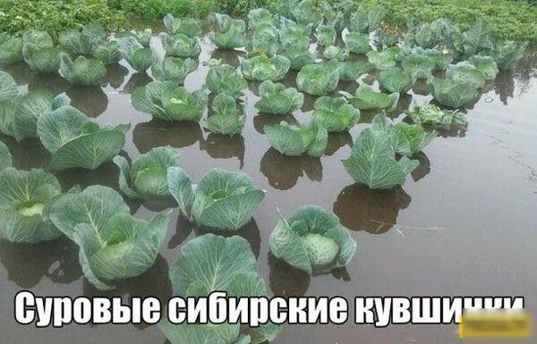 сшитые синий и