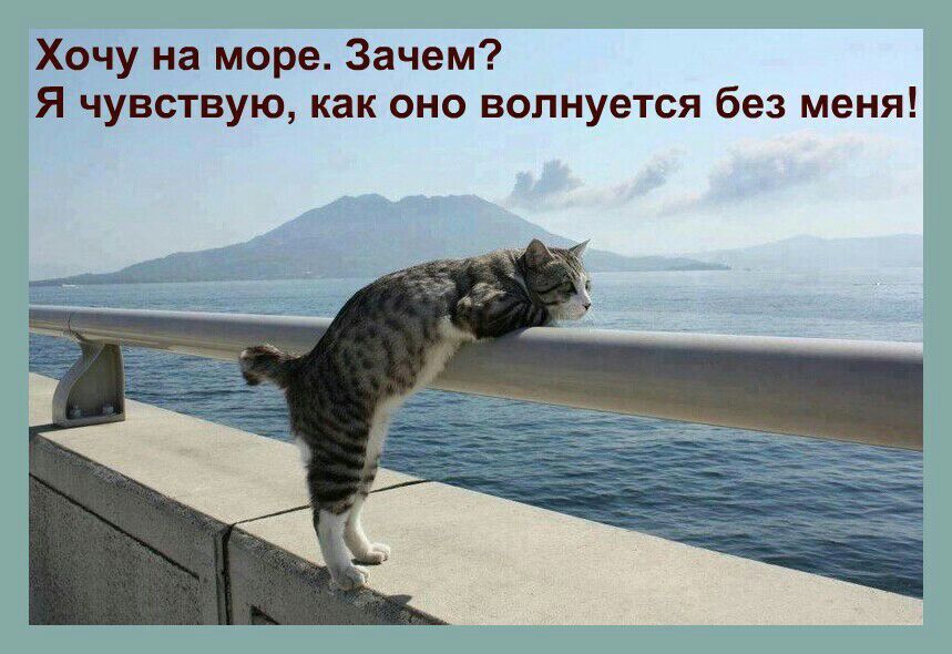 Хочу на море Зачем Я чувствую как оно волнуется без меня