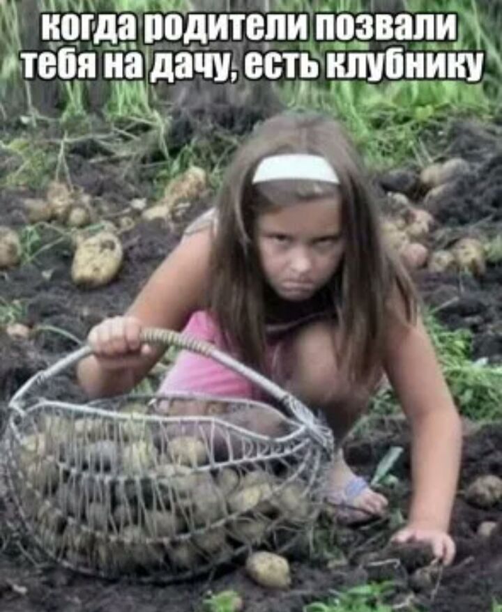 изд дйтеЁййіэЗвЁпищ я а а естьнпи ии г
