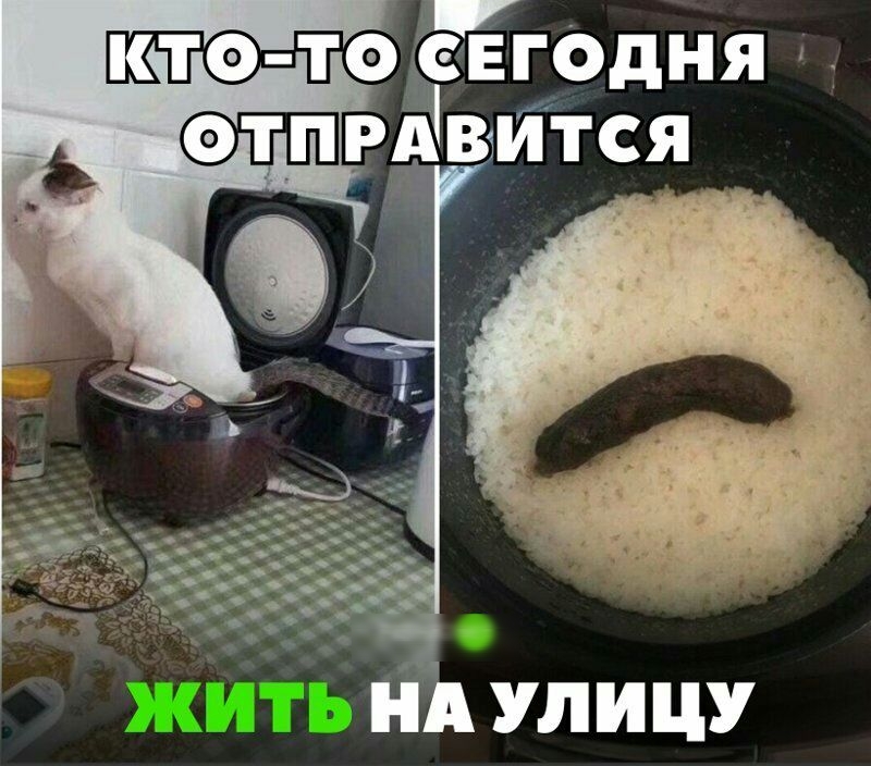 КТФ ТО СЕГОДНЯ