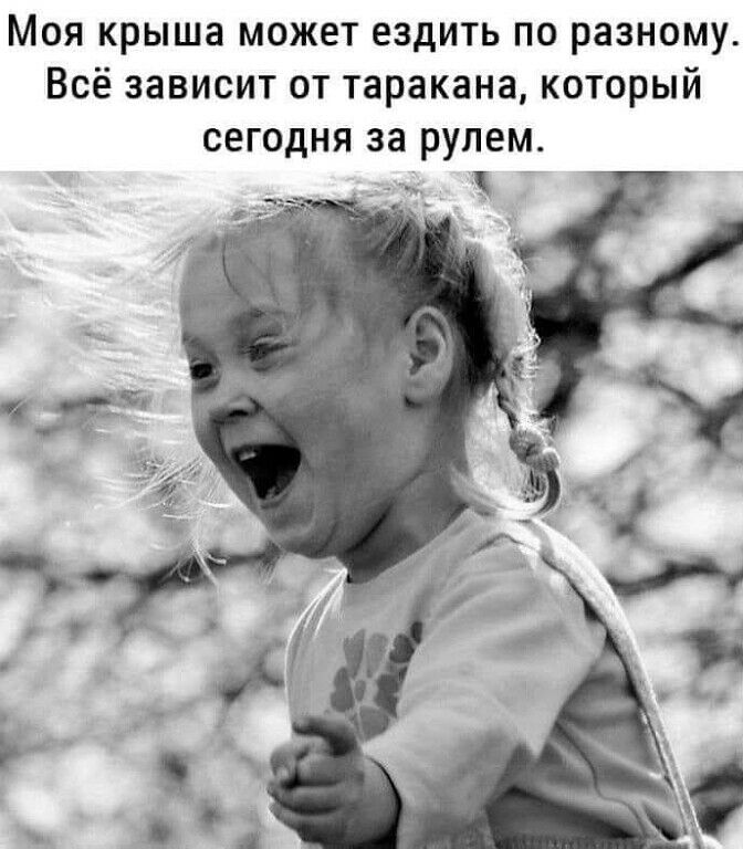 Моя крыша может ездить по разному Всё зависит от таракана который СЕГОДНЯ за РУЛЕМ