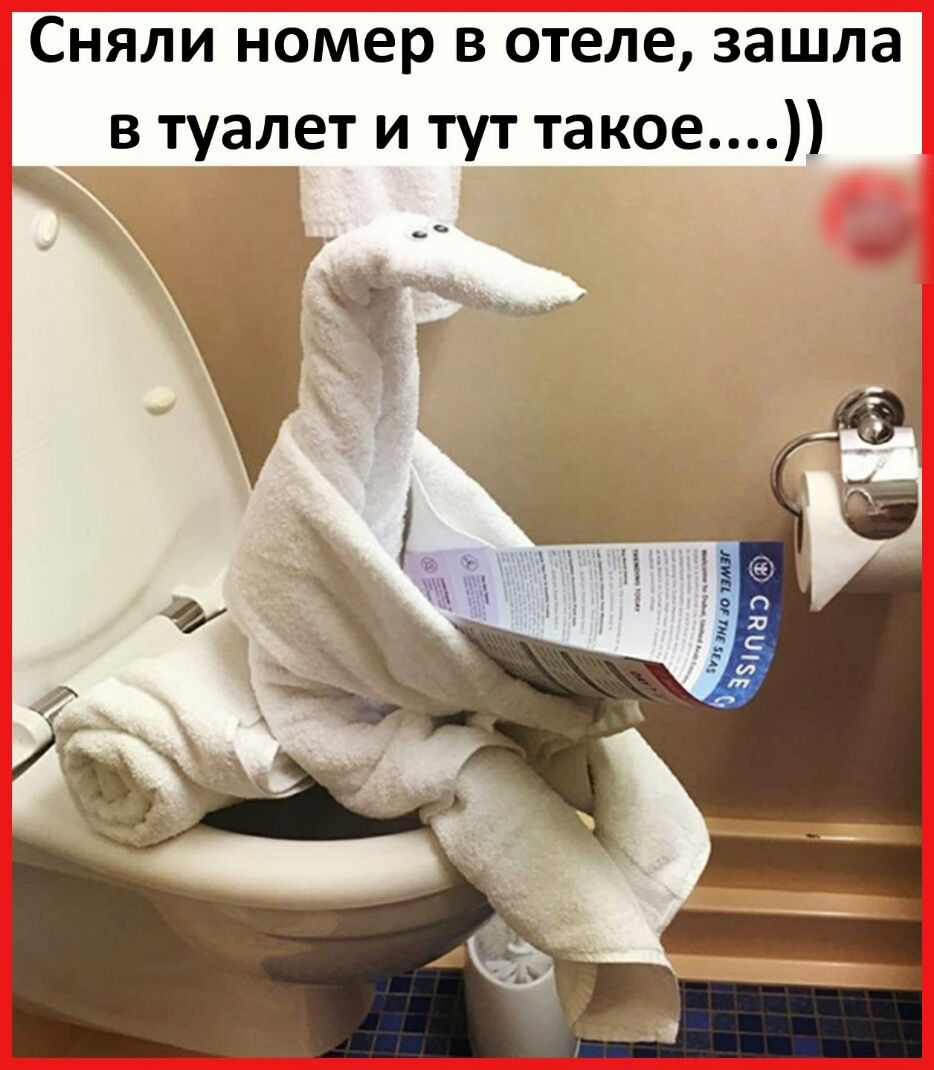 Сняли номер в отеле зашла в туалет и тут такое