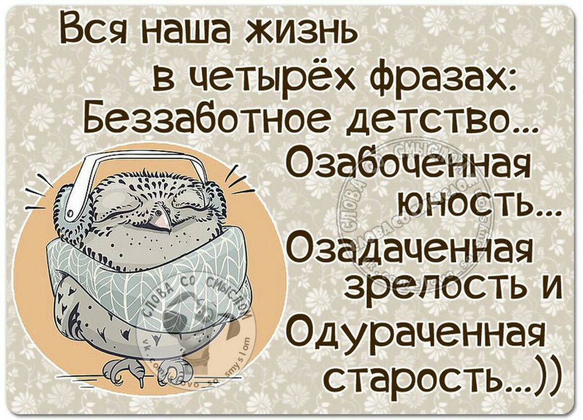 Вся наша жизнь в четырёх фразах Беззаботное детство Озабоченная юность Озадаченная зрелость и Одураценная старость