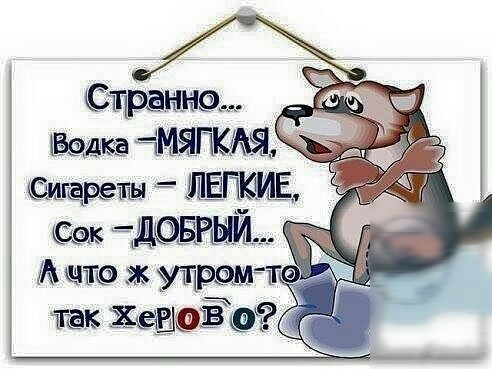 Страна _ Бэдка МЁПКАЧ Шгёреты ЛЕПЮИЕ 15 ЕДФЕРЫЙЪ так 255451933