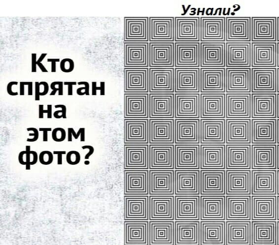 ЫЫЁЁЫЫ _Ы___Ё_а_ т _______ш _ Ё ЬЁЩЁЁЕЕЁЫ ЁЕЁЁЩЁЁЁЫ ЕЁЁЕ Кто спрятан на этом фото