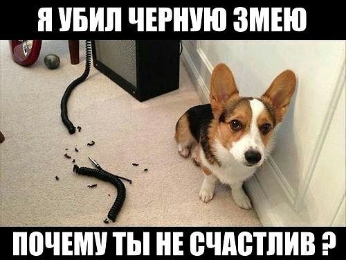я ивил чвгнию виню в Ё