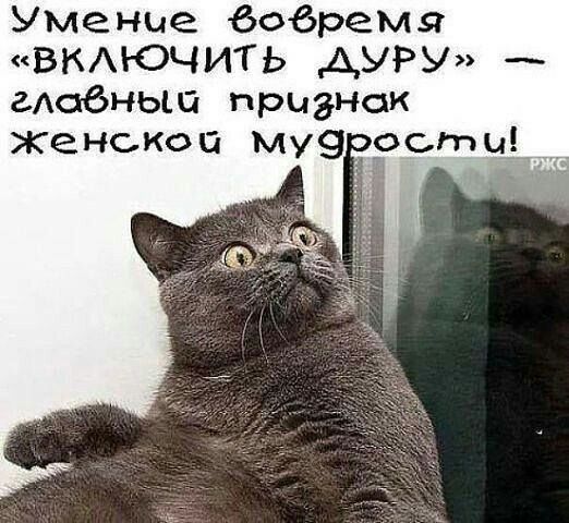 Умение 6обремя ВКАЮЧИТЬ АзРУ гАо6ньш признак женской му9рсты_ _