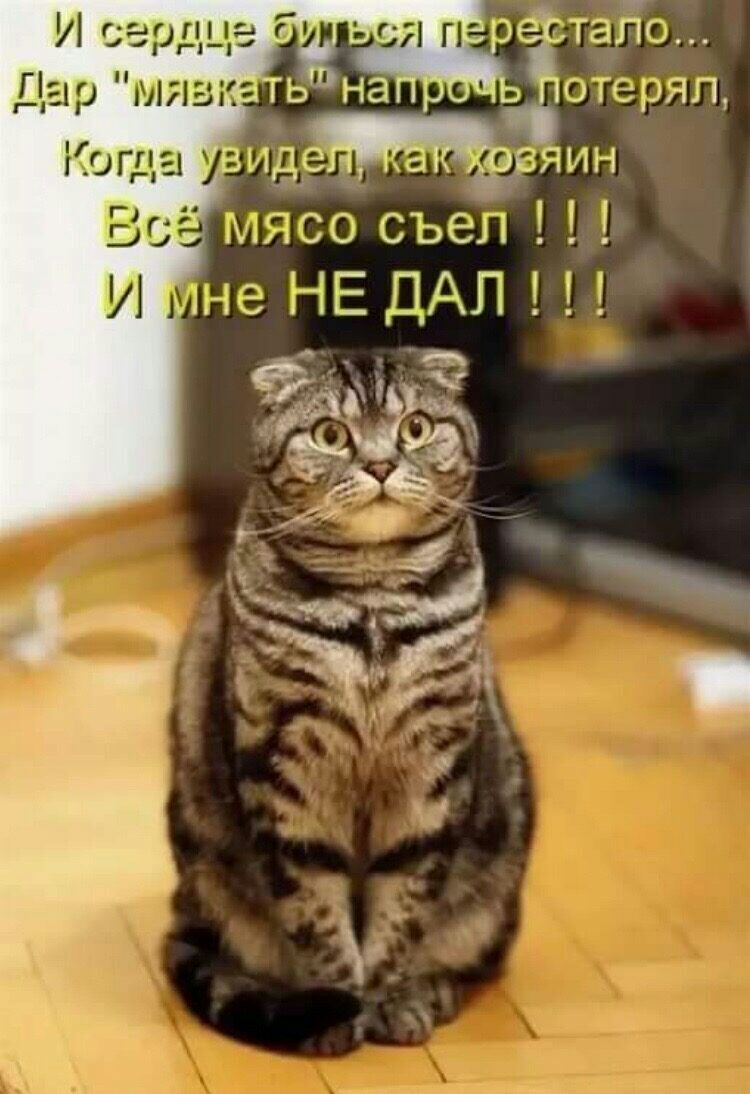 ь потерял Когда вахде 1 а й еяин ыюдязо съел 3 НЕ ДАП 95 фдЪшЁ 39