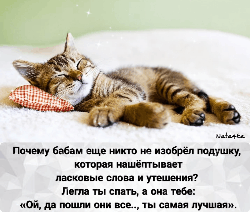 44541 Почему бабам еще никто не изобрёл подушку которая нашёптывает ласковые слова и утешения Легла ты спать а она тебе ой да пошли они все ты самая лучшая