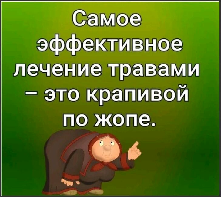 Самое эффективное лечение травами это крапивой по жопе 06 499