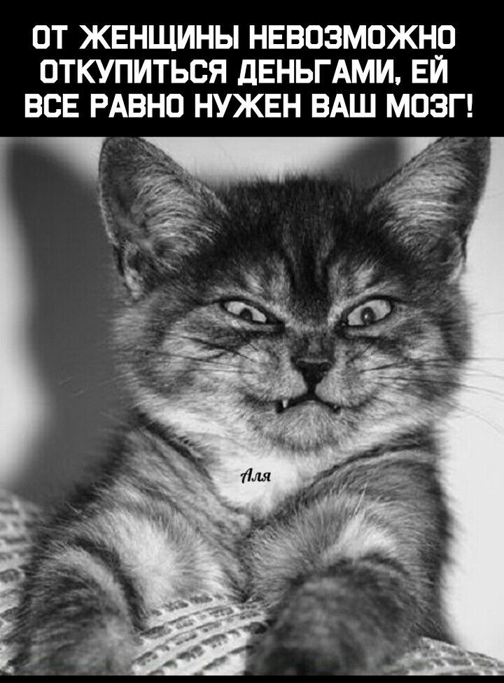 ОТ ЖЕНЩИНЫ НЕВОЗМОЖНО ОТКУПИТЬОЯ дЕНЬГАМИ ЕЙ ВСЕ РАВНО НУЖЕН ВАШ МОЗГ
