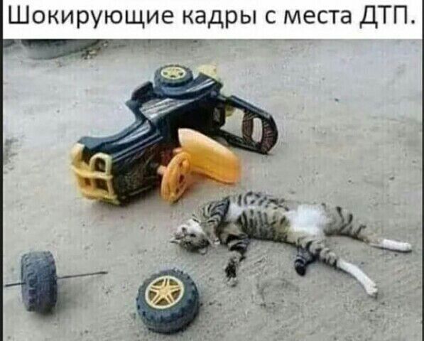 Шокирующие кадры с места ДТП