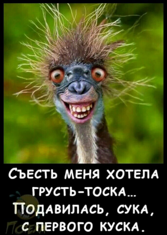 Съесть меня ХОТЕЛА ГРУСТЬ ТОСКА Поддвммсь сука с первого кускл