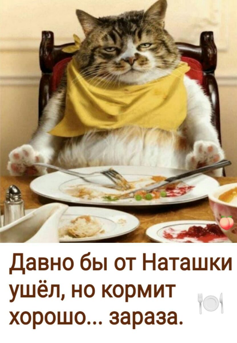 Давно бы от Наташки ушёл но кормит хорошо зараза