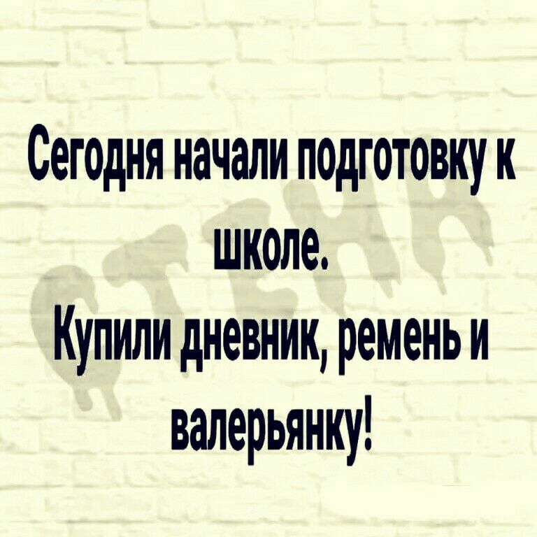 Сегодня начали подготовку к школе Купили дневник ременьи валерьянну