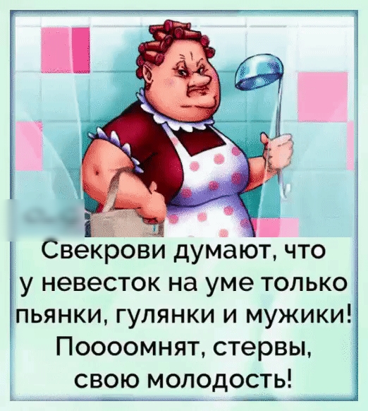 Свекрови думают что у невесток на уме только пьянки гулянки и мужики Поооомнят стервы свою молодость