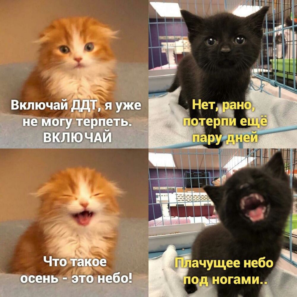 из 1 інші ЁЦЩНФ Ёко13 гм 1 ногами_