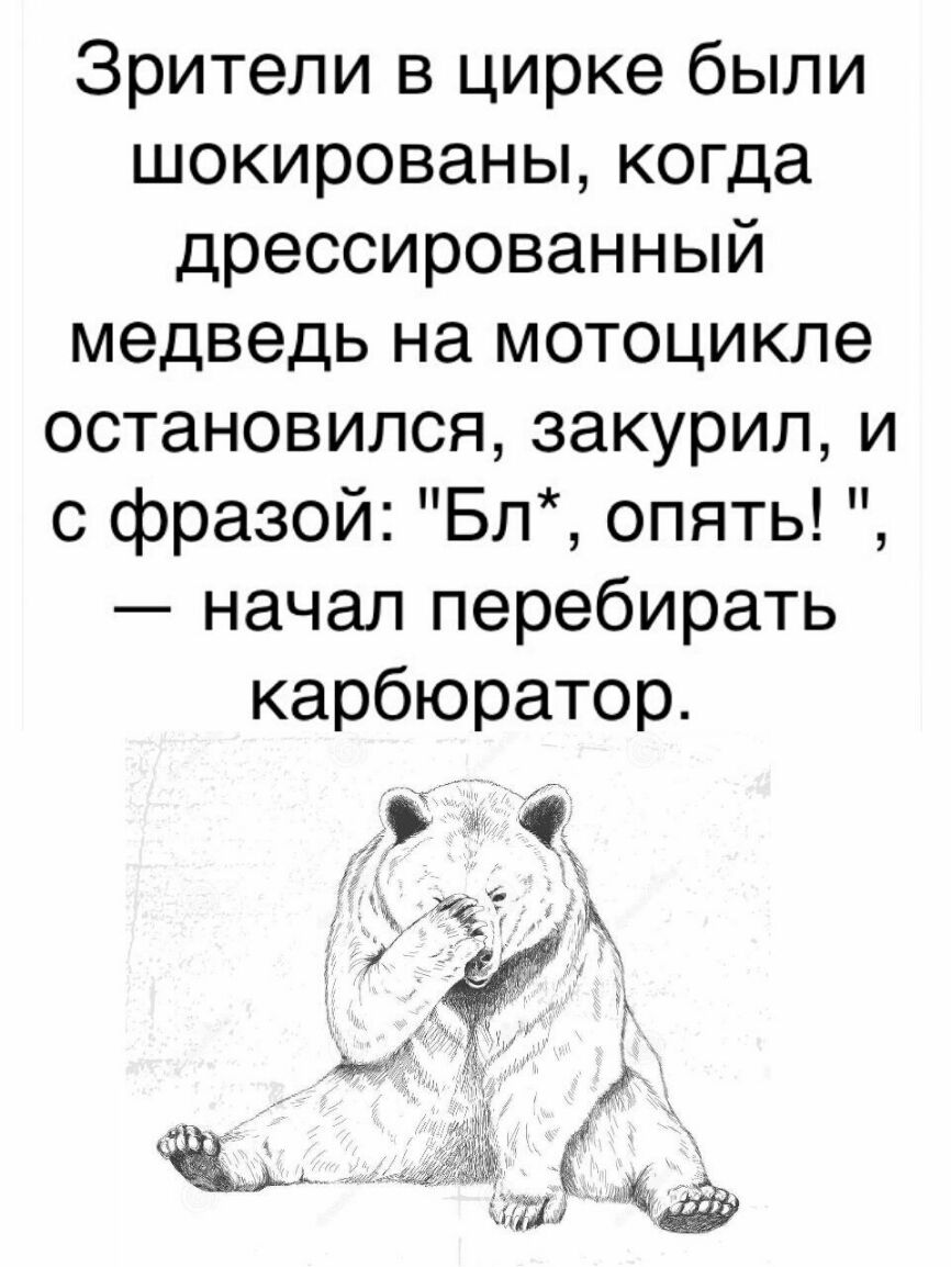 Зрители в цирке были шокированы когда дрессированный медведь на мотоцикле остановилсязакурили с фразой Бл опять начал перебирать карбюратор к Б